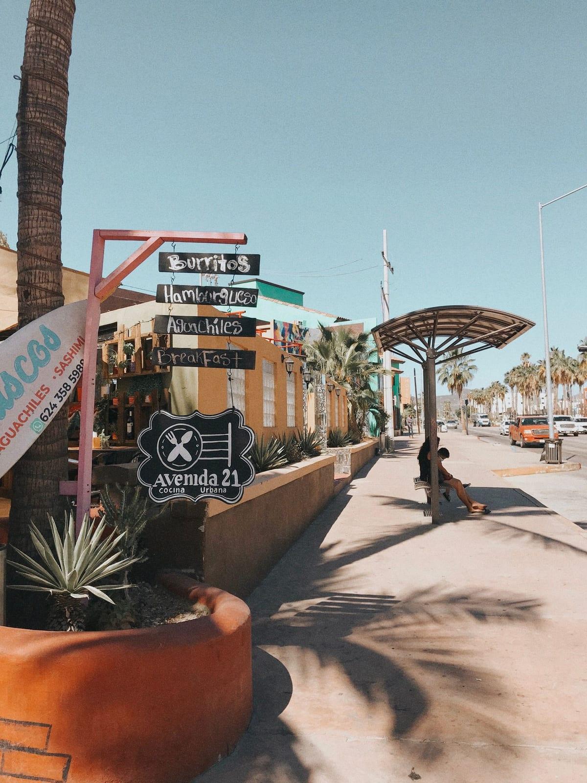 A sunny street in downtown Cabo San Lucas lined with palm trees, small restaurants, and hand-painted shop signs