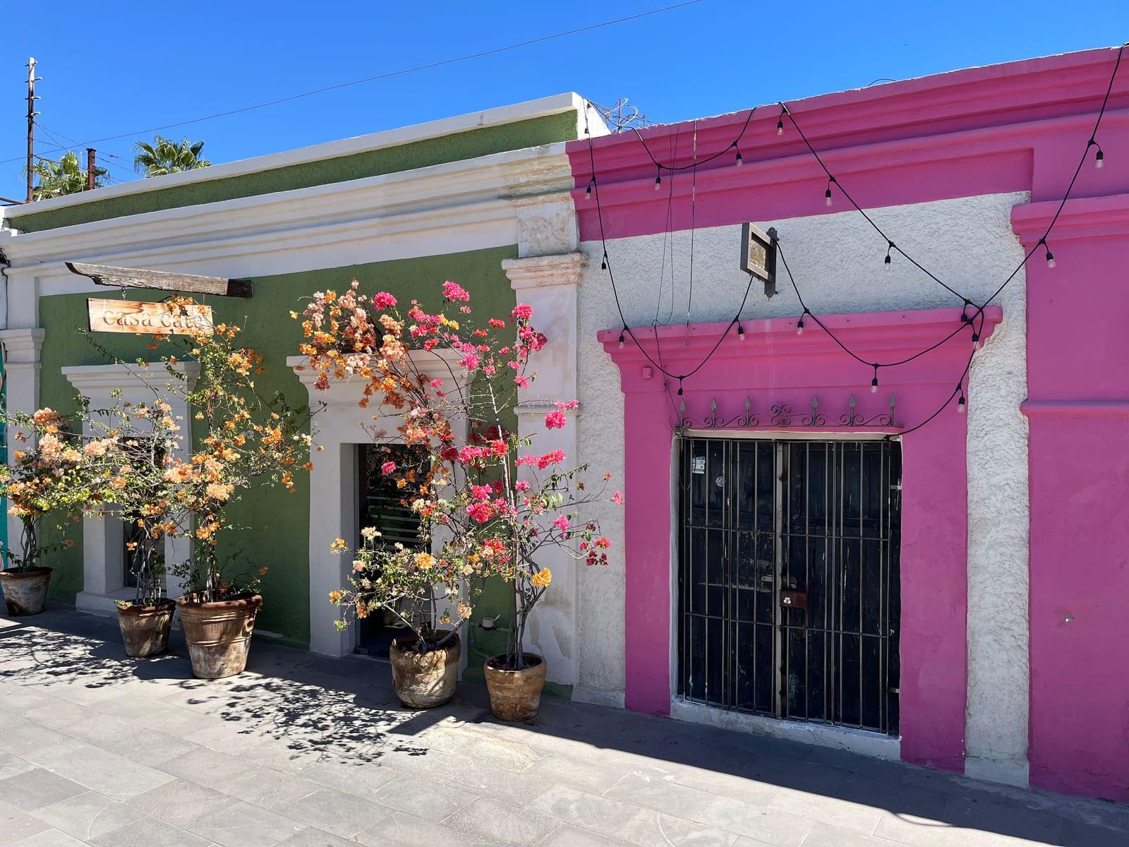 Colorful green and pink building facades draped with bougainvillea along a street in San José del Cabo.