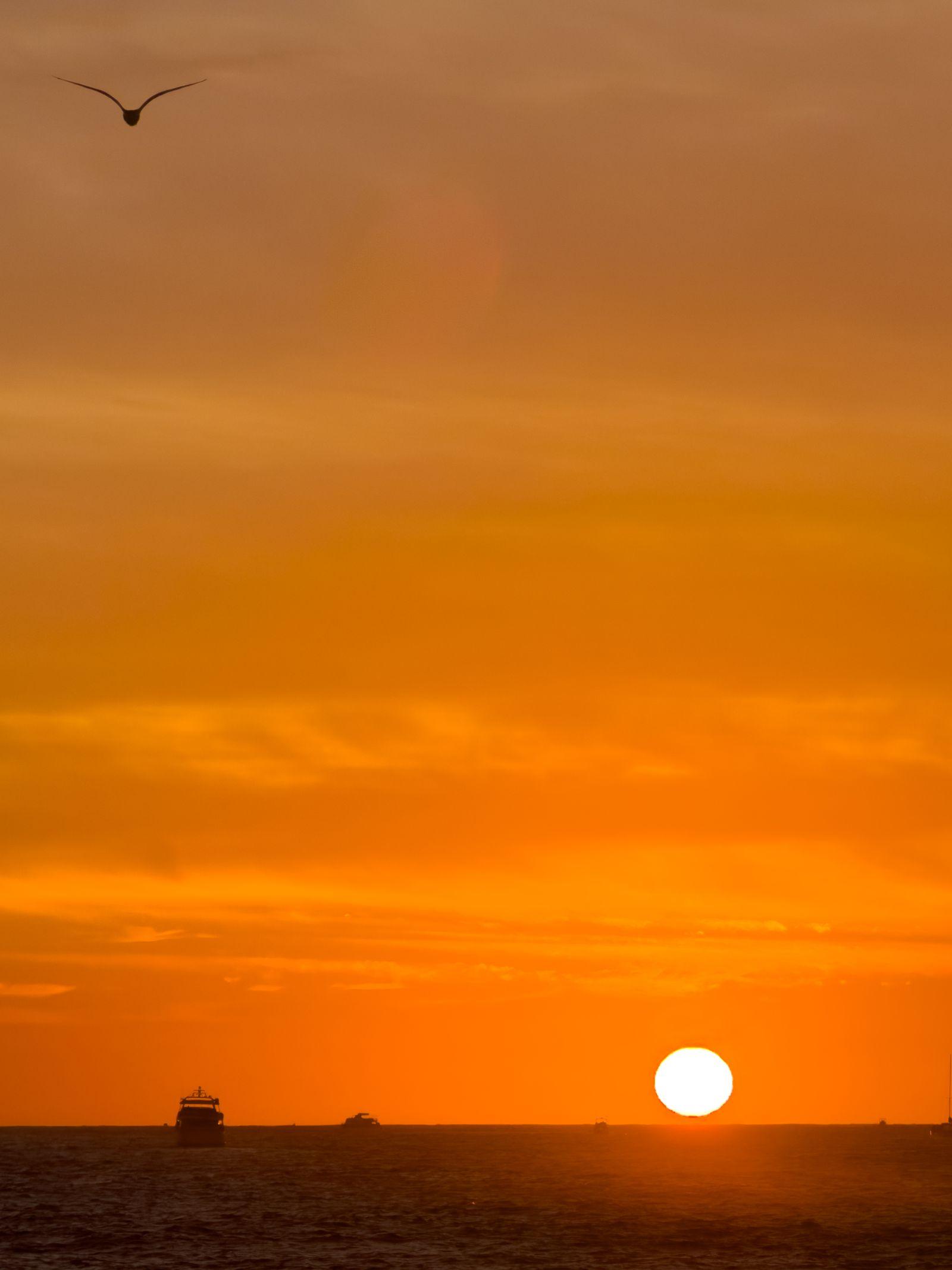 Vivid sunset over the ocean near Cabo San Lucas