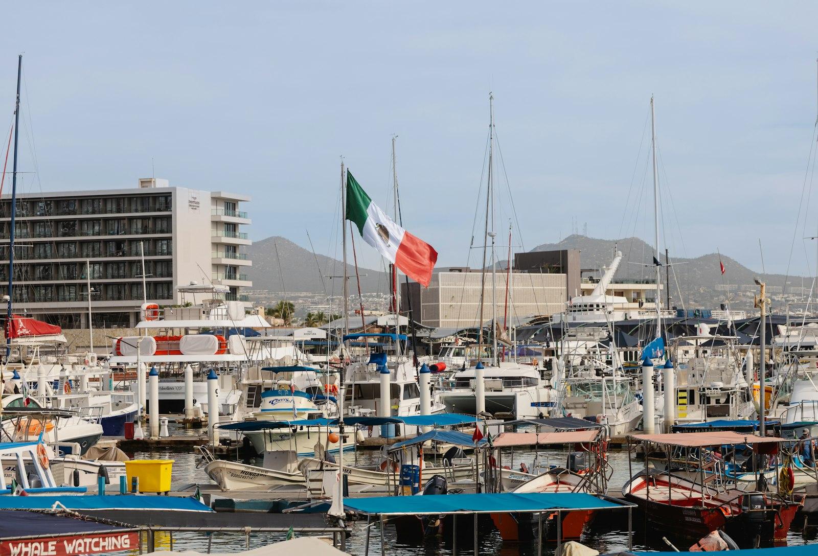 Boats docked at the Cabo San Lucas marina, the departure point for La Paz day trips