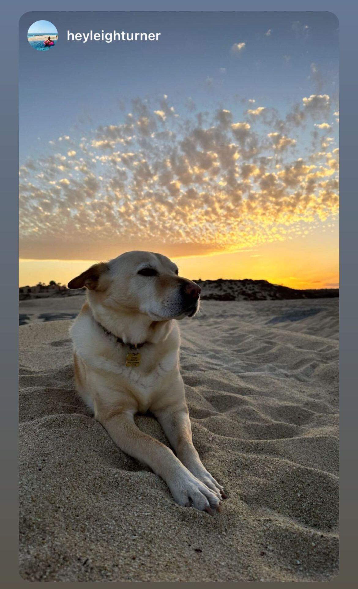 El Matador in Los Cabos