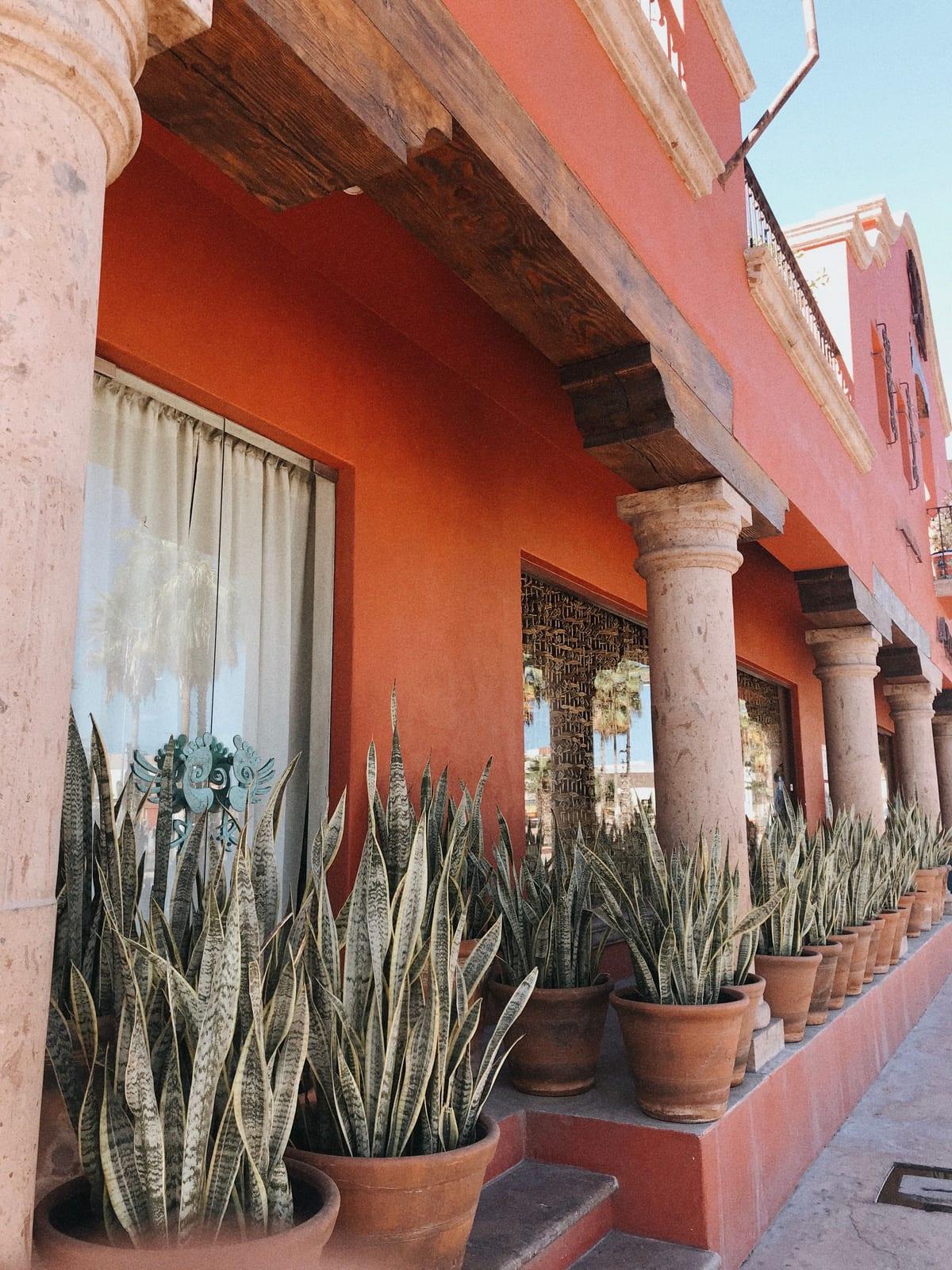 Terracotta-colored colonial storefront in Cabo San Lucas lined with potted snake plants under stone archways.