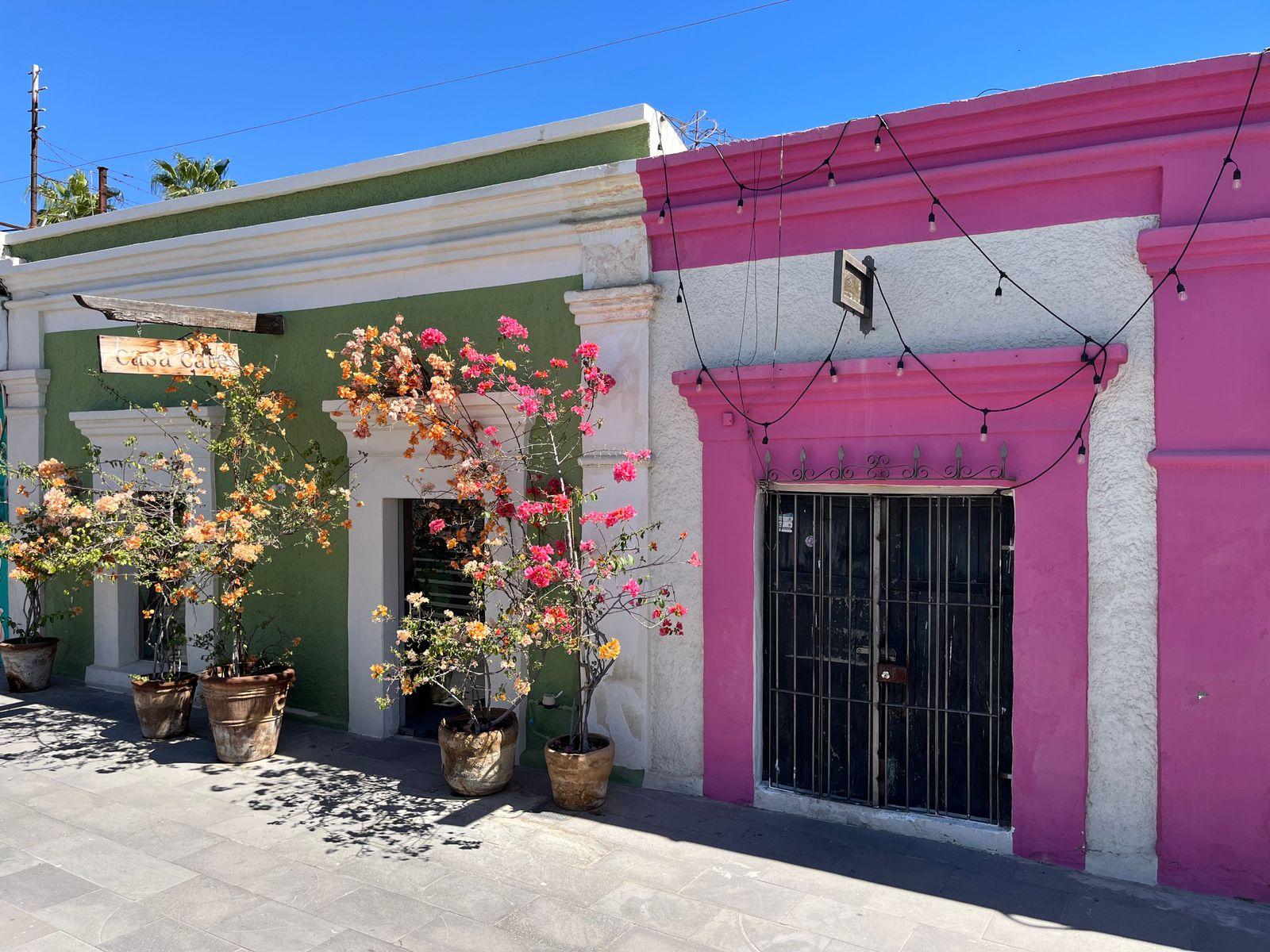 A colorful, bougainvillea-lined street in San José del Cabo