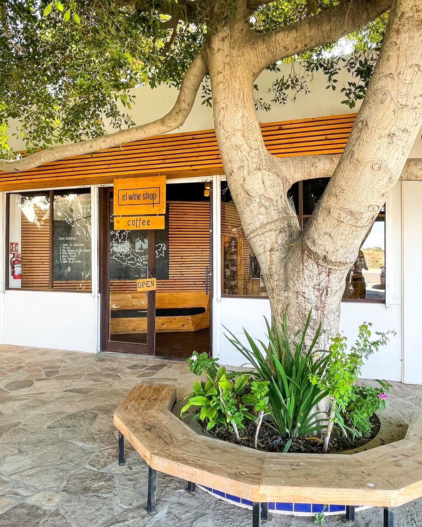El Wine Shop in Los Cabos