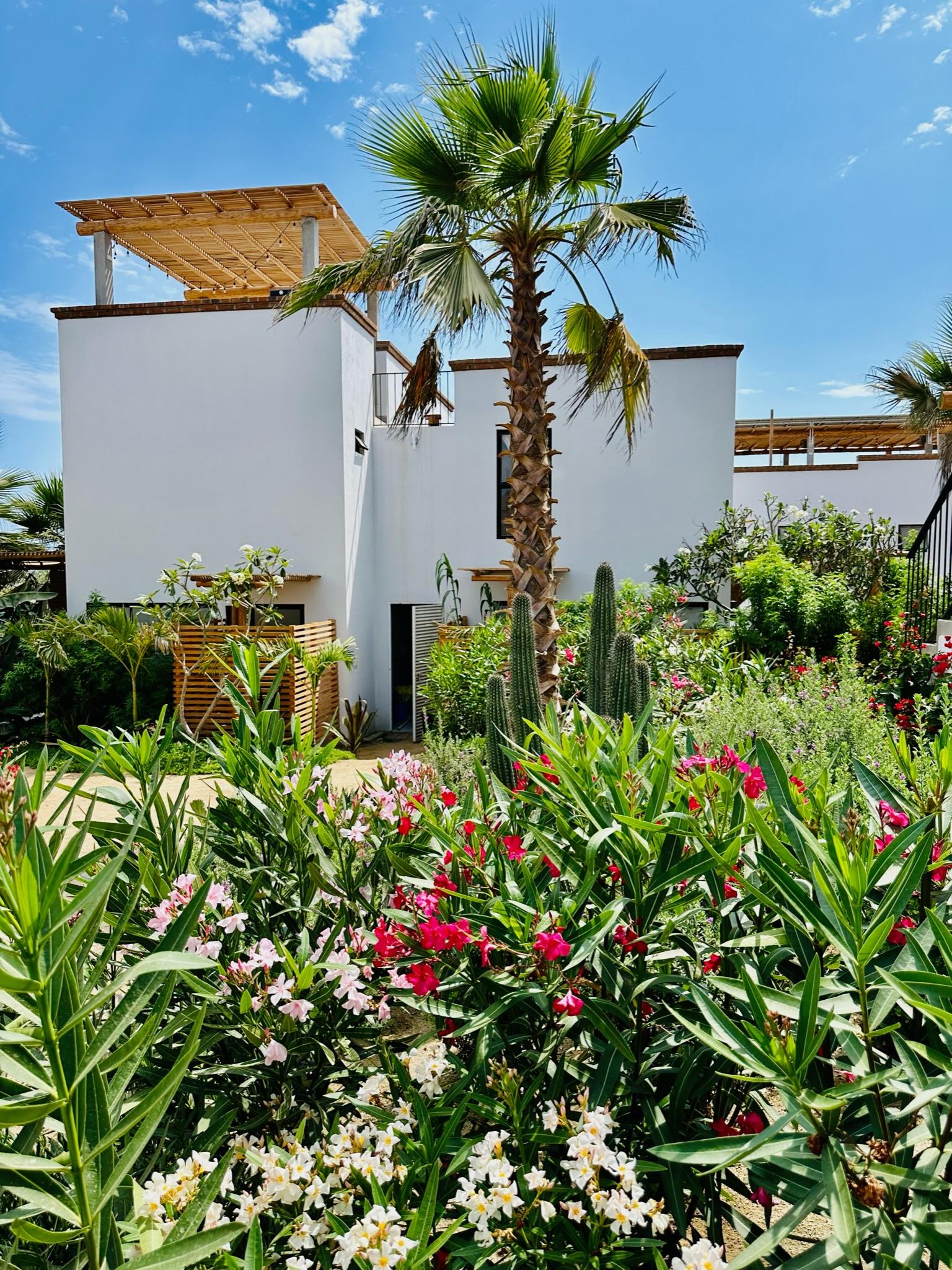 Stay Review: Hotel So Far So Good in Cerritos Beach in Los Cabos